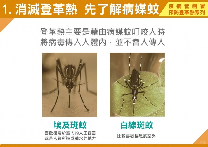 登革热重要介绍