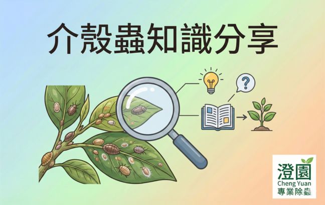 介殼蟲知識分享-(澄園除蟲提供小知識)
