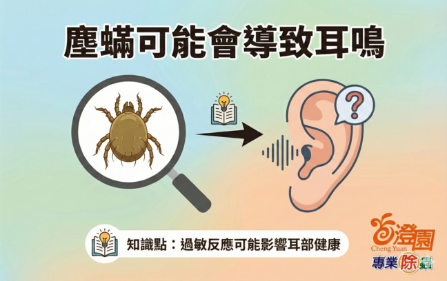 塵蟎可能會導致耳鳴(-(澄園除蟲提供小知識)