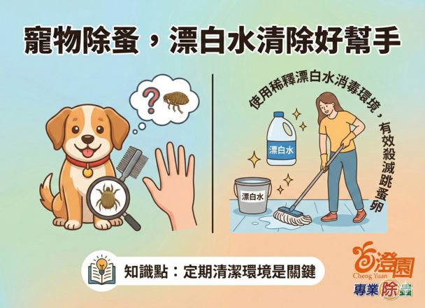 寵物除蚤漂白水幫忙(澄園公司知識分享)