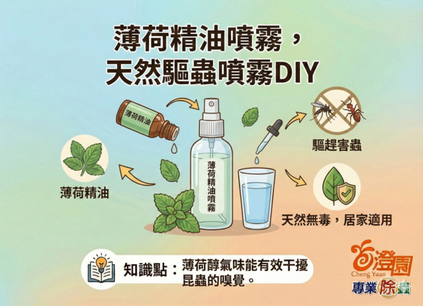 天然驅蟲噴霧DIY-(澄園除蟲知識分享)