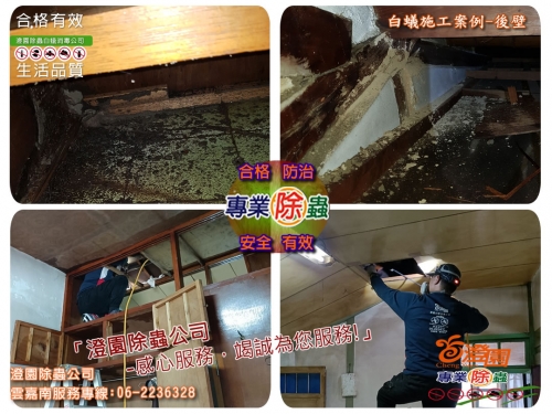 台南後壁除白蟻