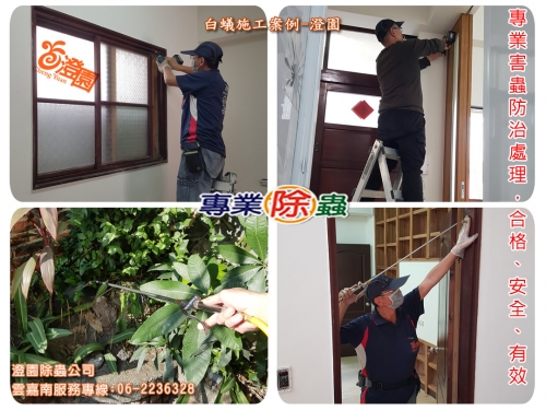 台南中西區透天翻新白蟻預防