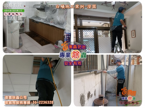 台南公寓一樓除白蟻、