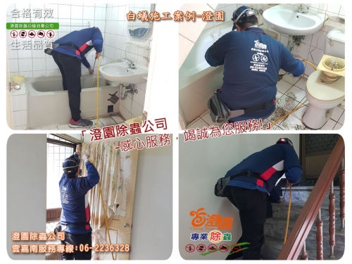 新營透天白蟻防治及預