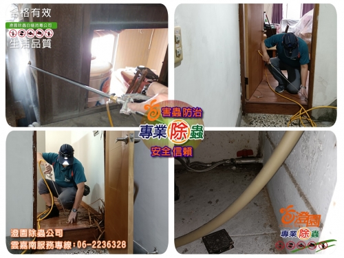 台南北區透天白蟻防治