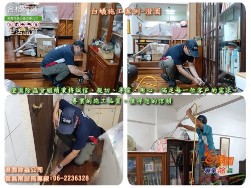 台南歸仁透天白蟻防治