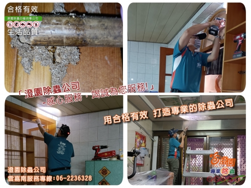 永康透天一樓除白蟻、