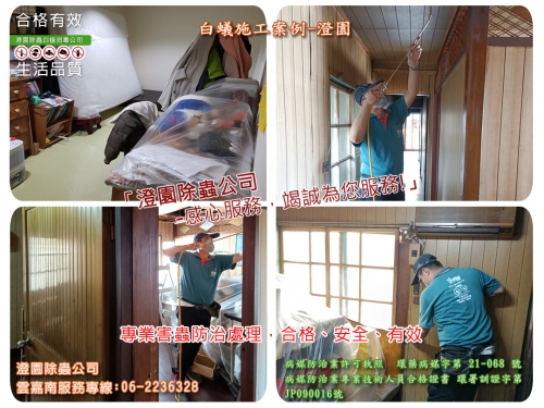 嘉義平房白蟻防治、台