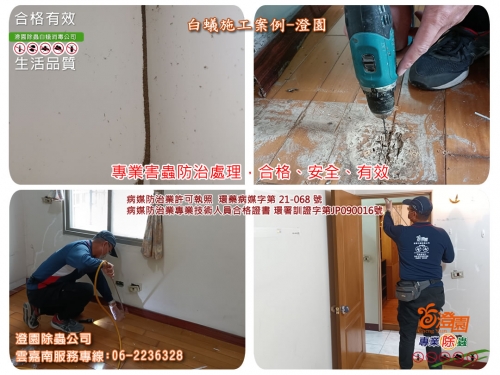 台南東區大樓除白蟻、