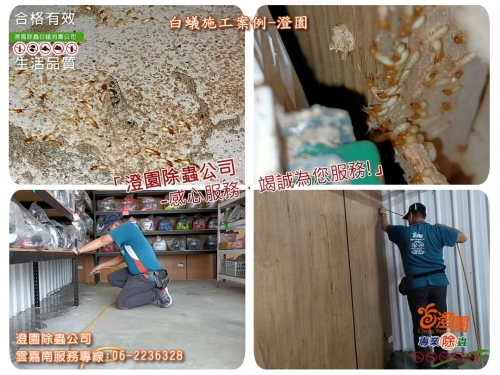 台南南區鐵皮屋除白蟻