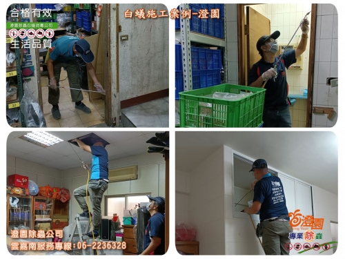台南透天白蟻防治、透