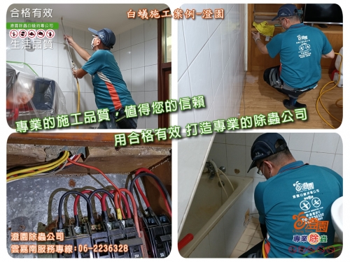 台南透天白蟻防治、大