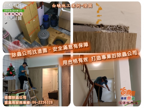 台南安南區店面白蟻防