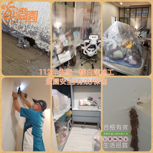 112年度11月白蟻施工