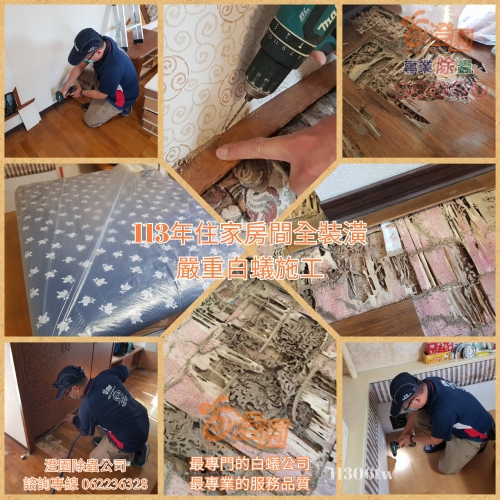 113年6月份 台南