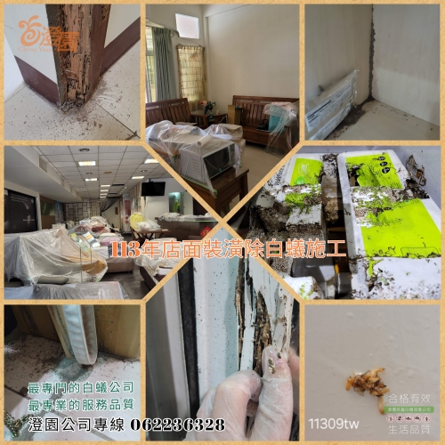 113年9月份 台南
