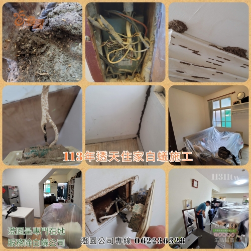 113年11月份 台
