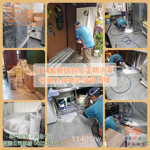 114年05月份澄園白蟻